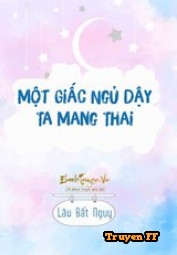 Một Giấc Ngủ Dậy Ta Mang Thai Poster